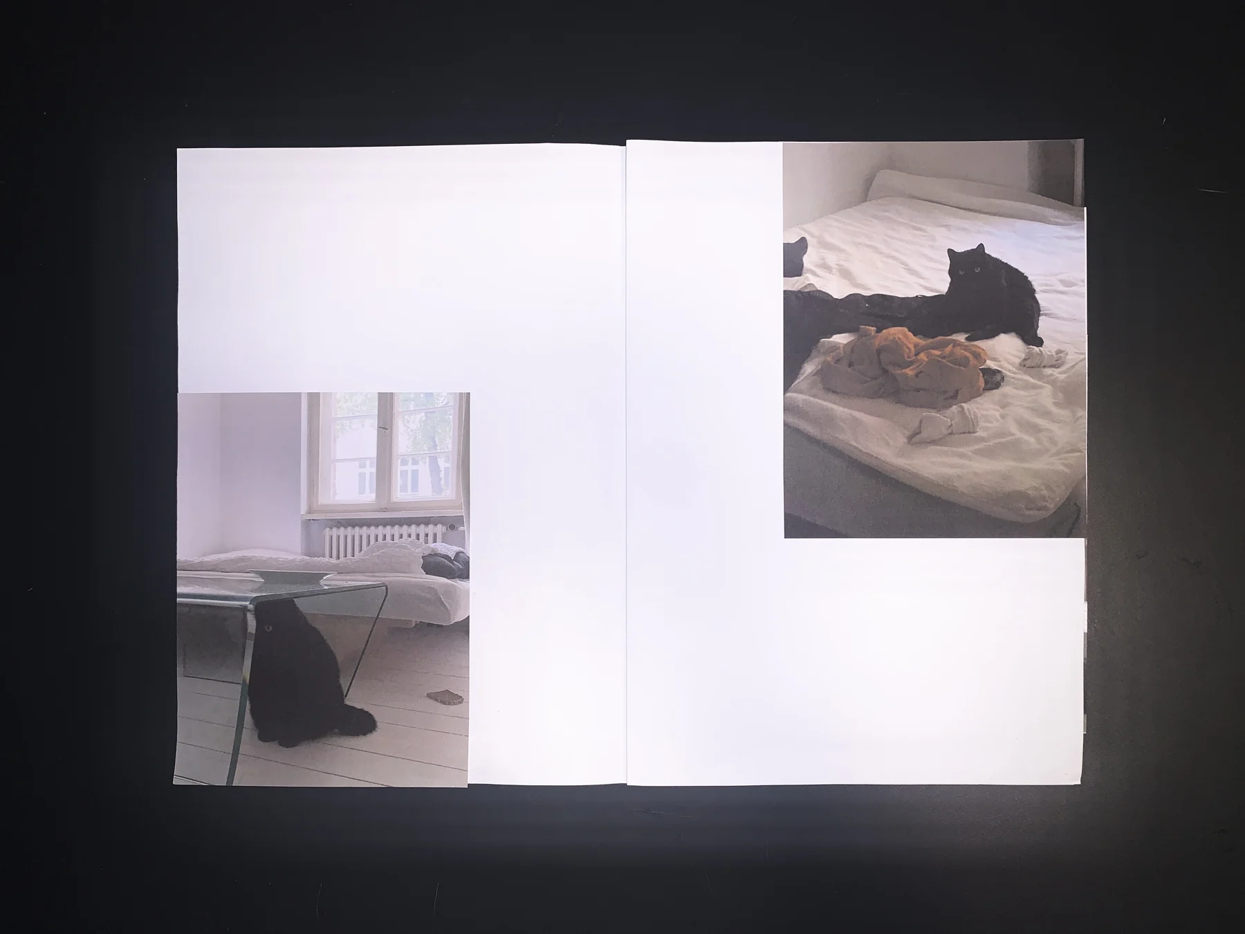 Unknown — zine photograph 2 of 7