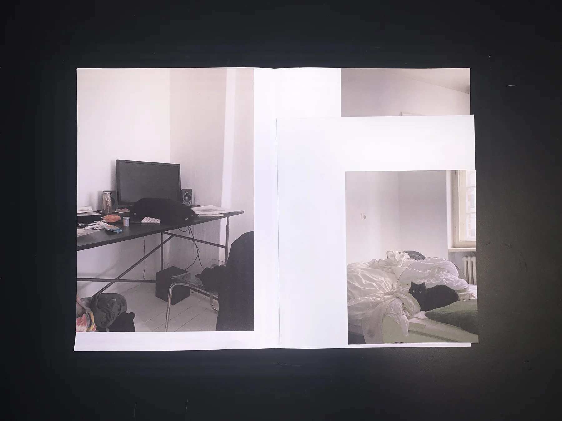 Unknown — zine photograph 3 of 7