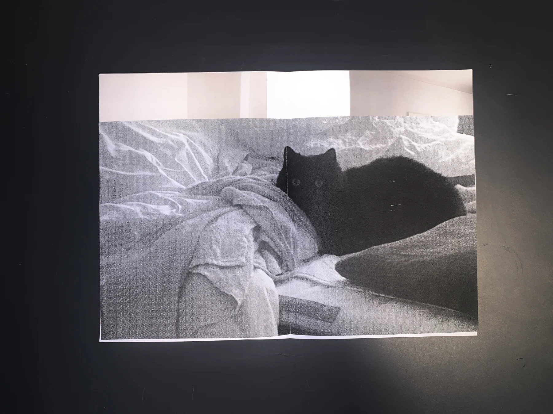 Unknown — zine photograph 4 of 7