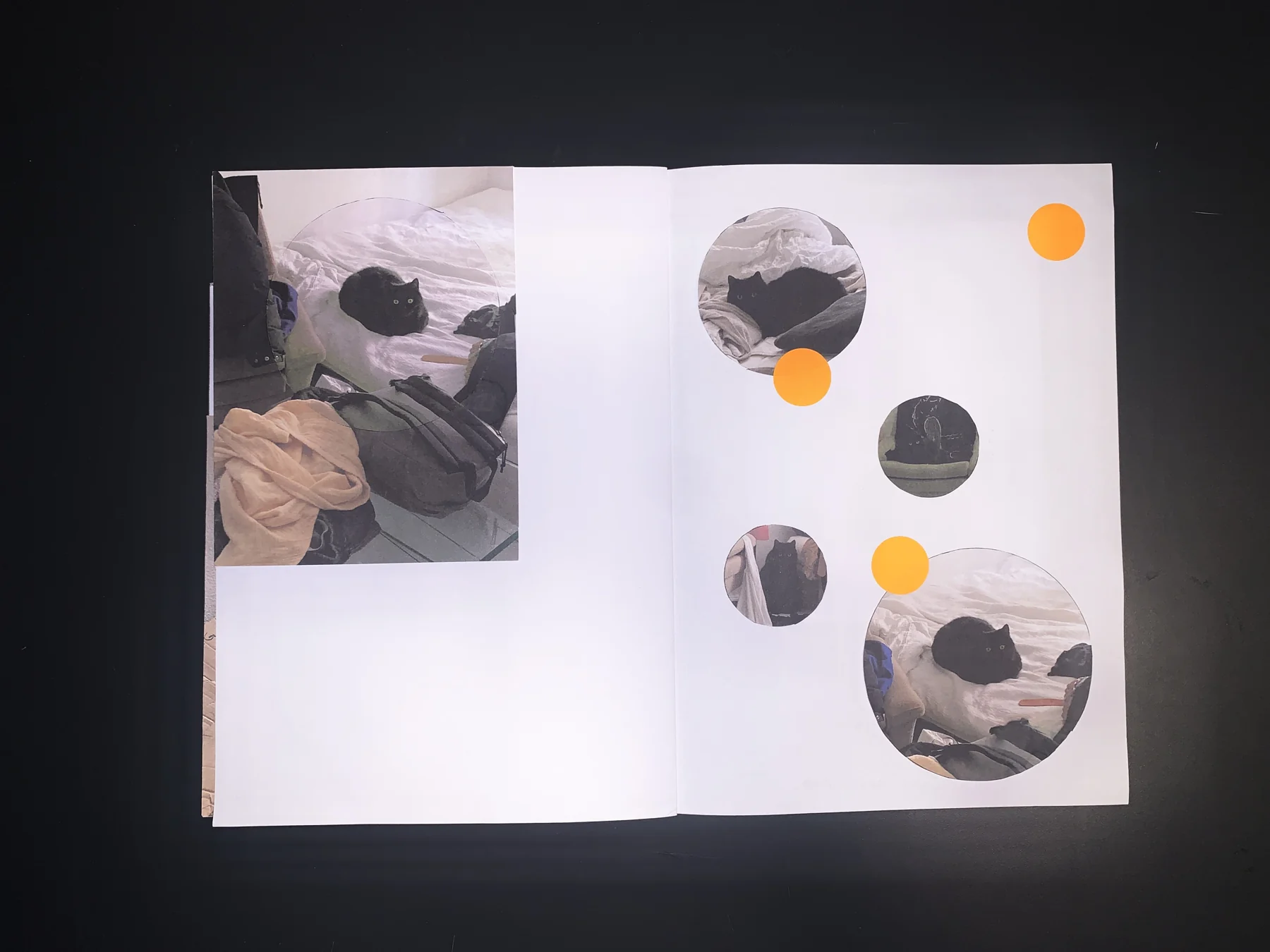 Unknown — zine photograph 6 of 7