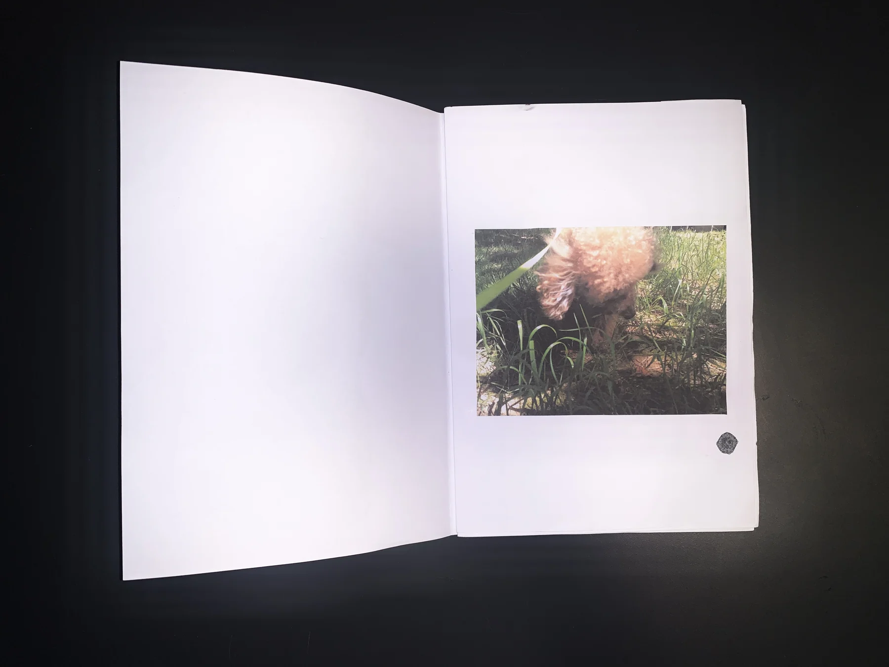 Unknown — zine photograph 2 of 11