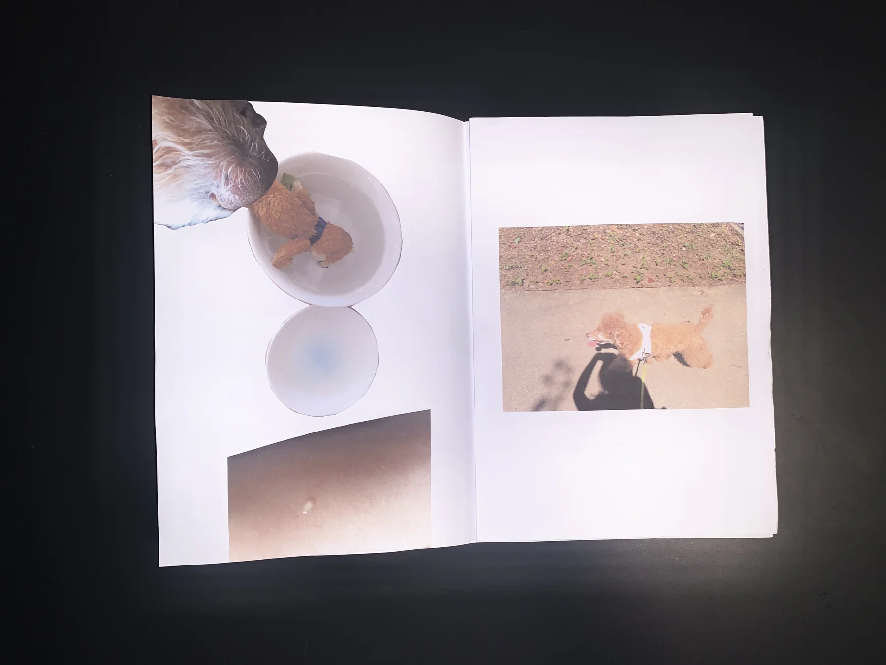 Unknown — zine photograph 3 of 11