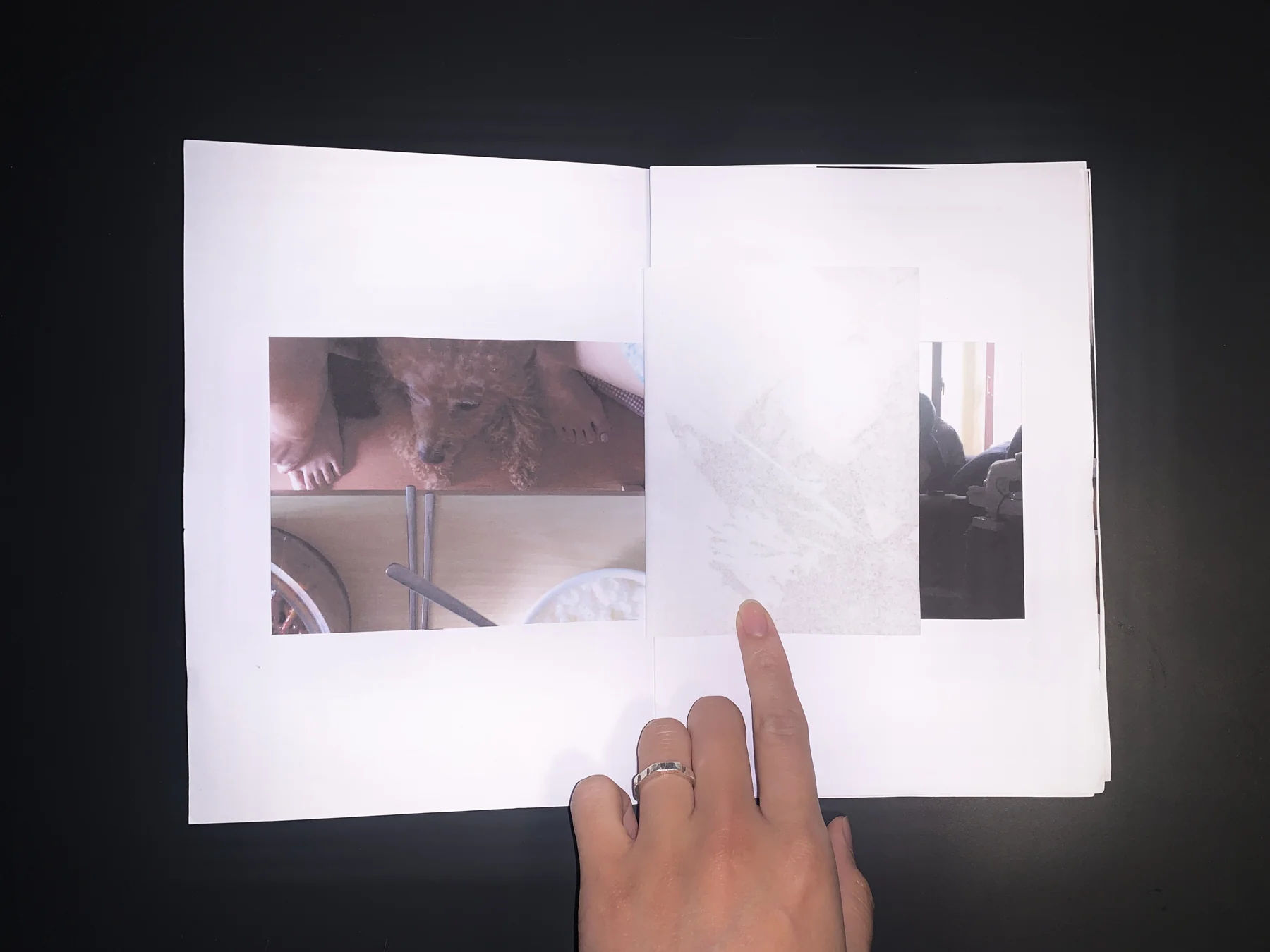 Unknown — zine photograph 5 of 11