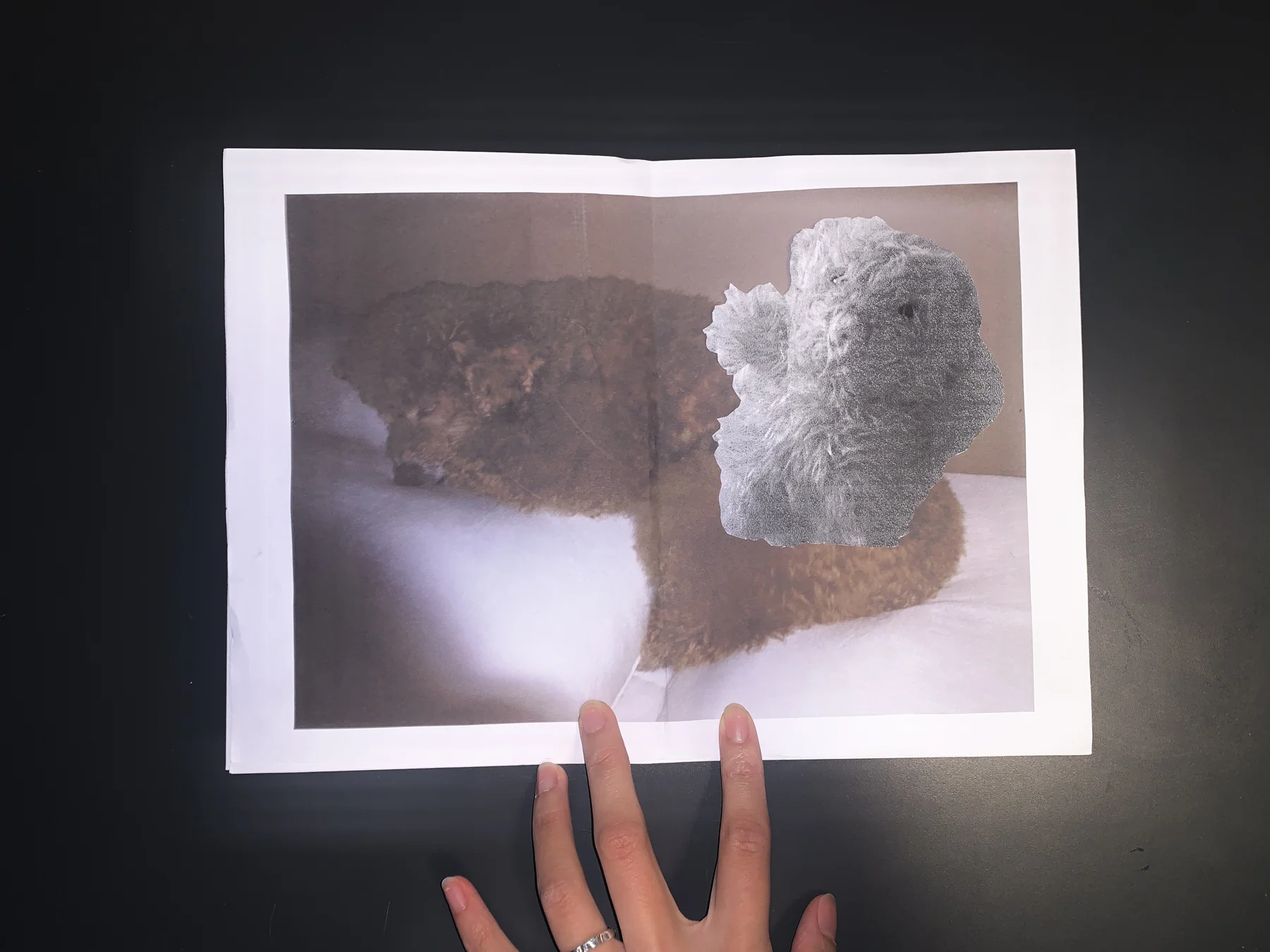 Unknown — zine photograph 6 of 11