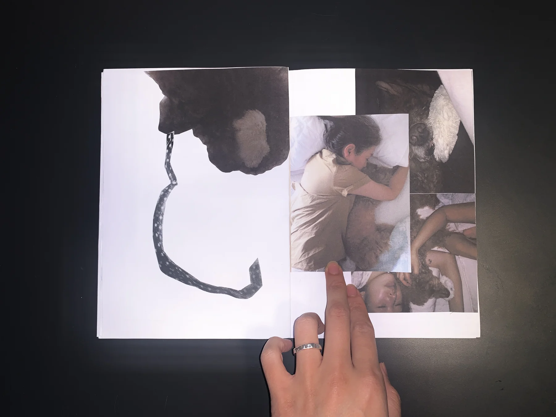 Unknown — zine photograph 7 of 11