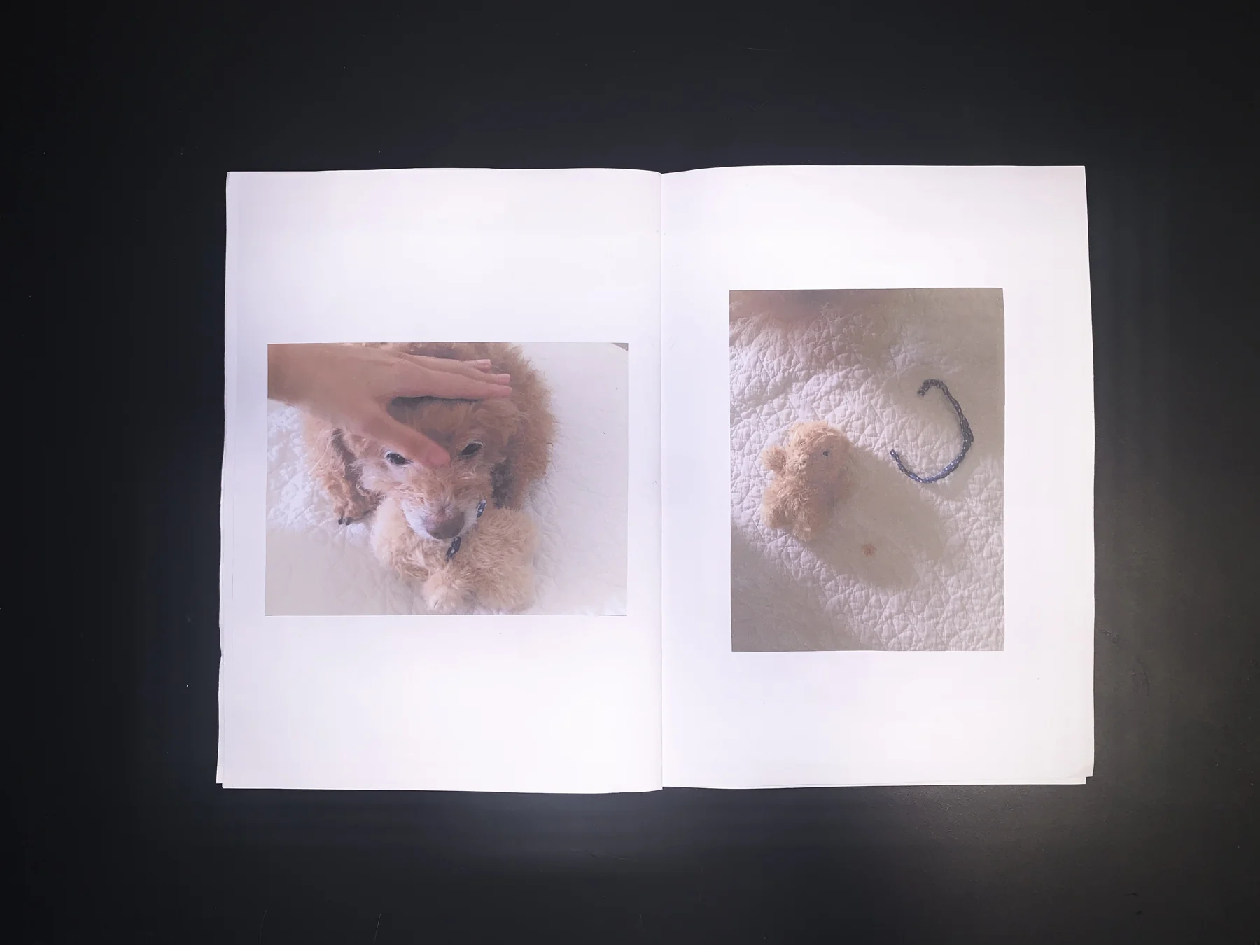 Unknown — zine photograph 9 of 11