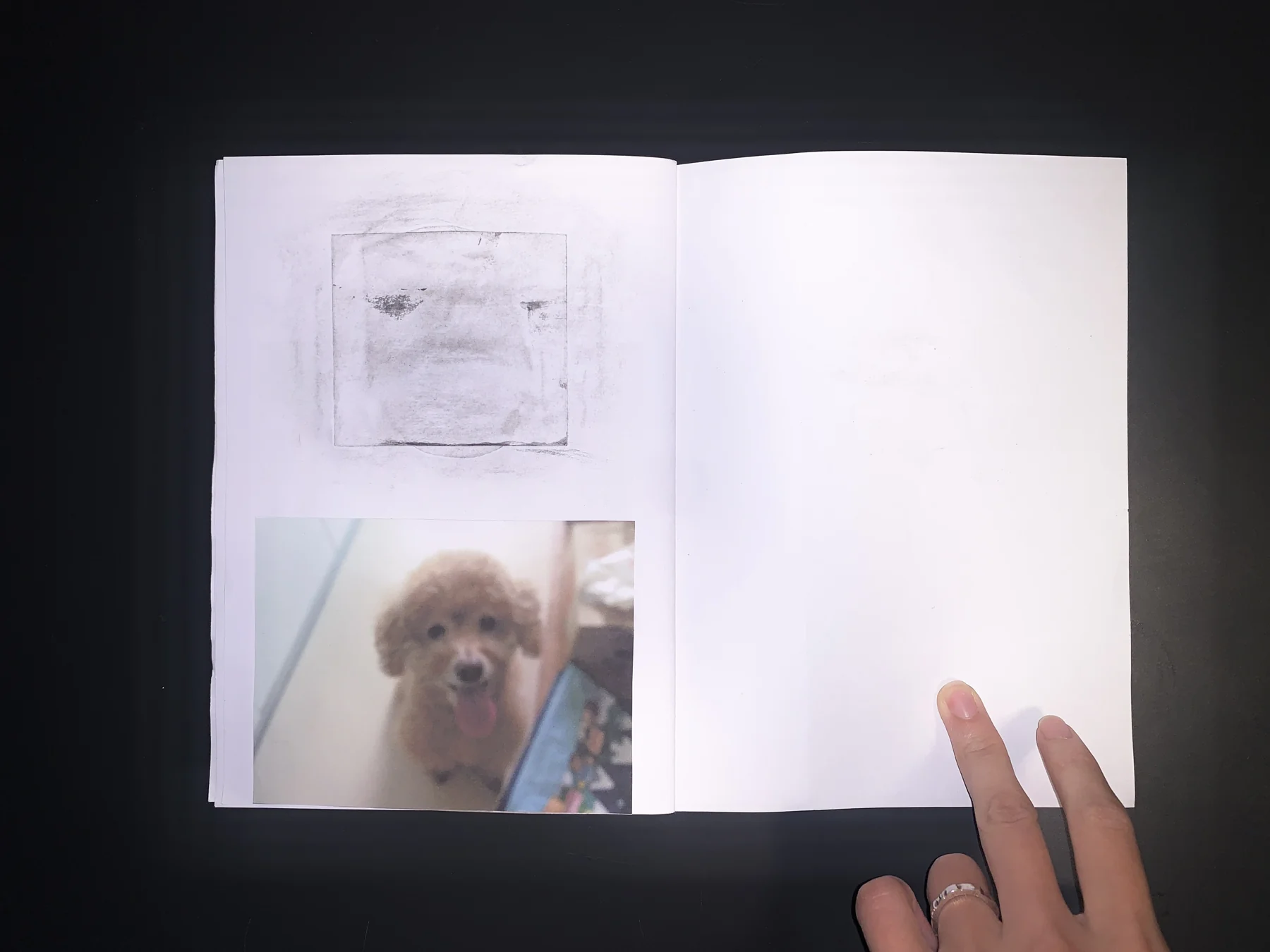 Unknown — zine photograph 10 of 11