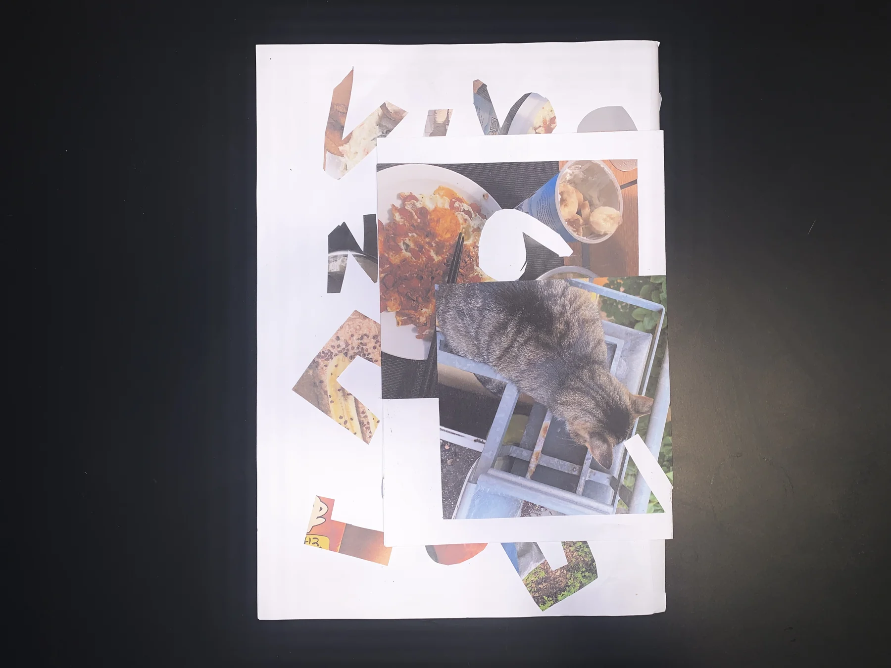 Unknown — zine photograph 7 of 7