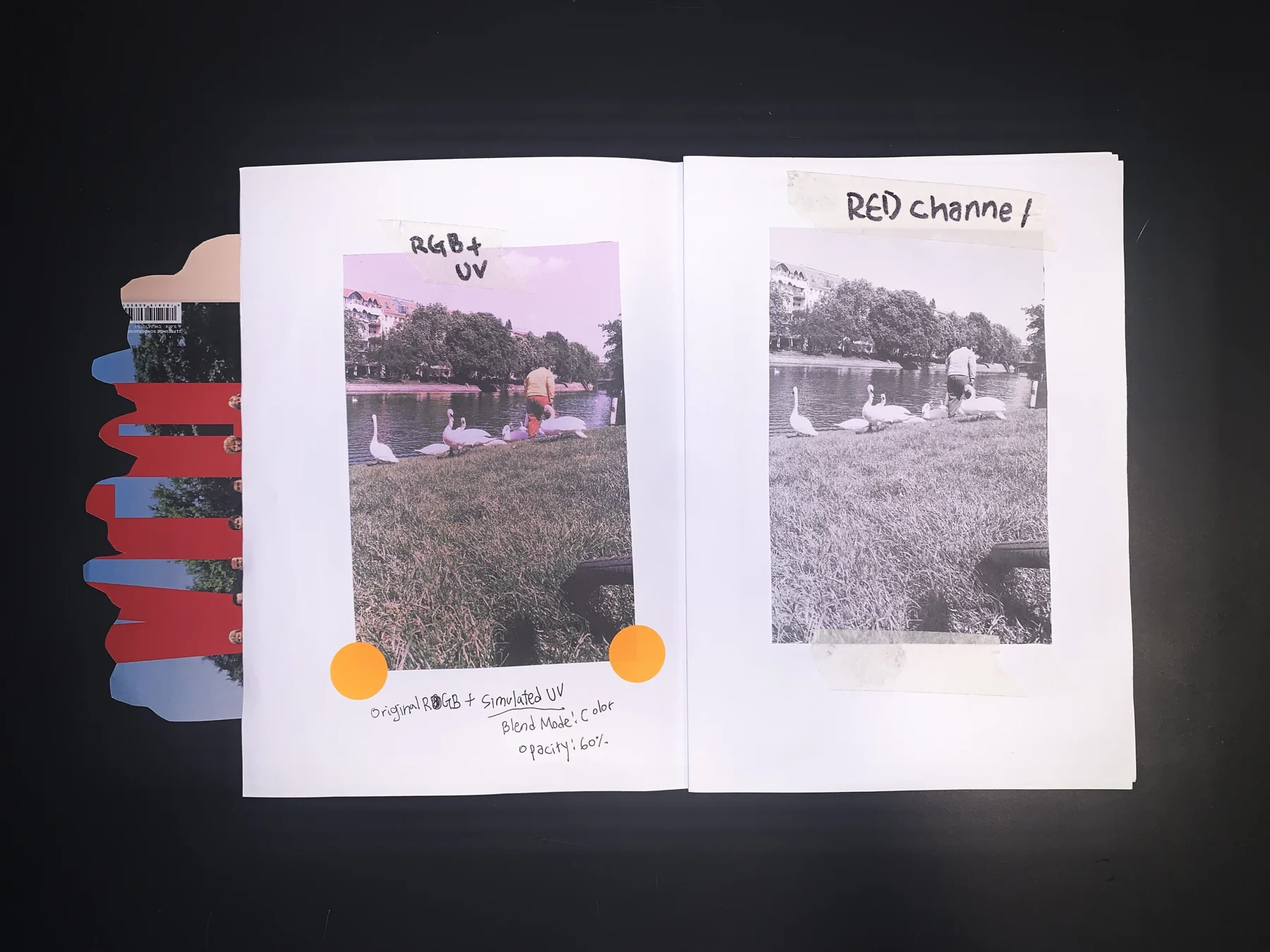 Unknown — zine photograph 3 of 10