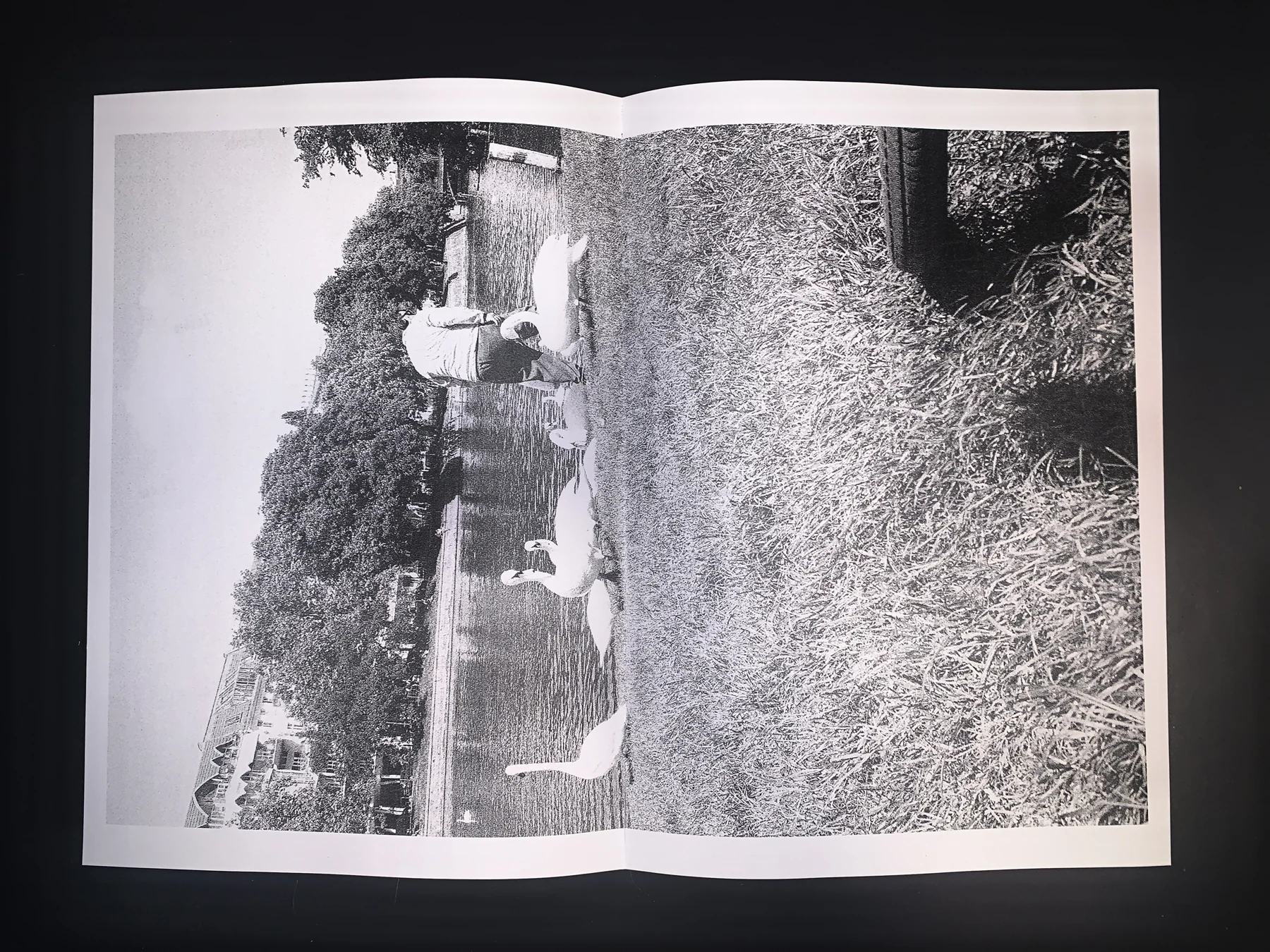 Unknown — zine photograph 9 of 10