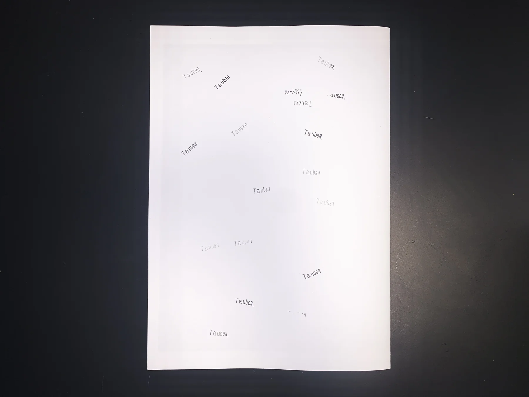 Unknown — zine photograph 10 of 10