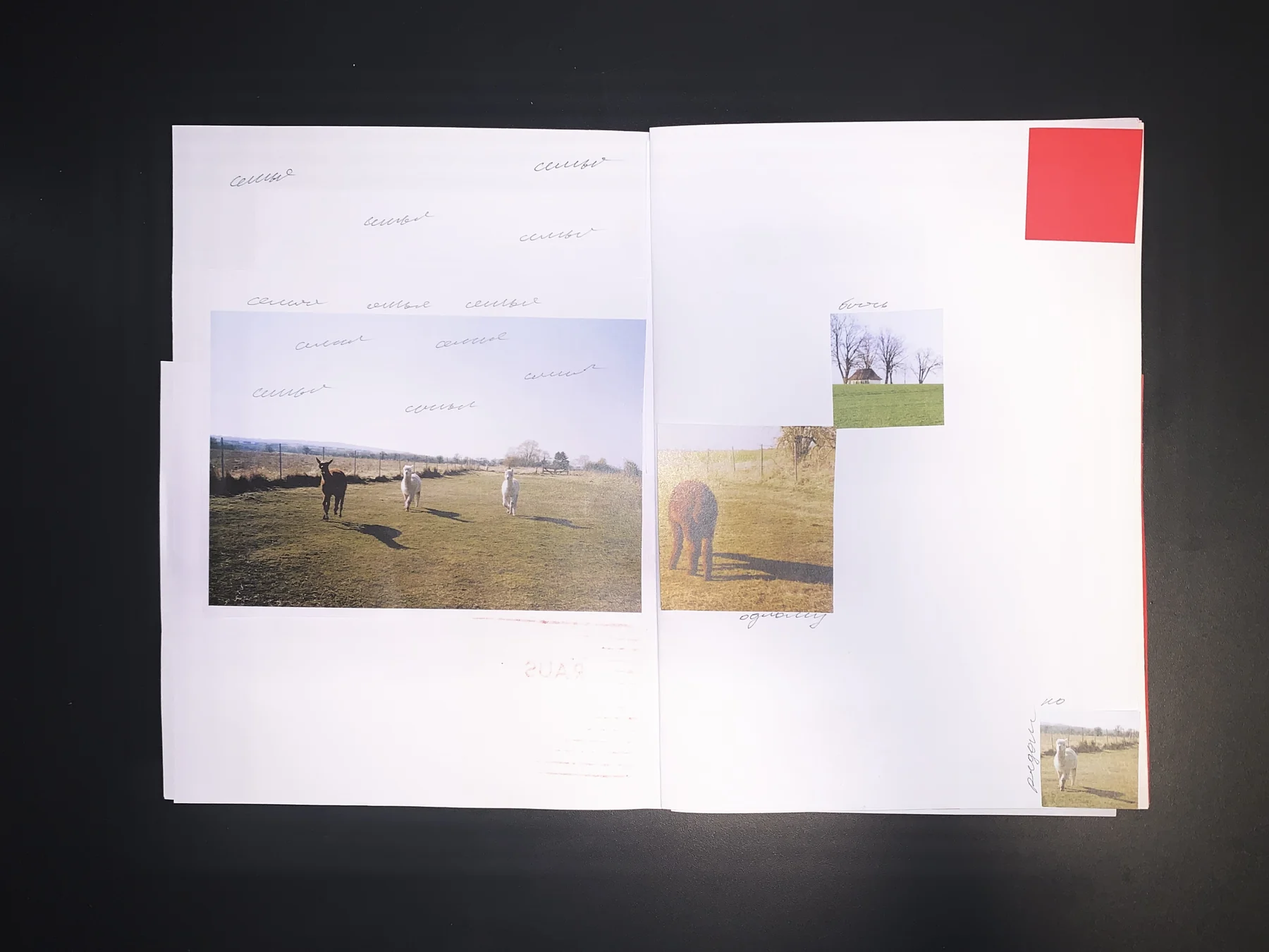 Danil — September 25 zine, photograph 2