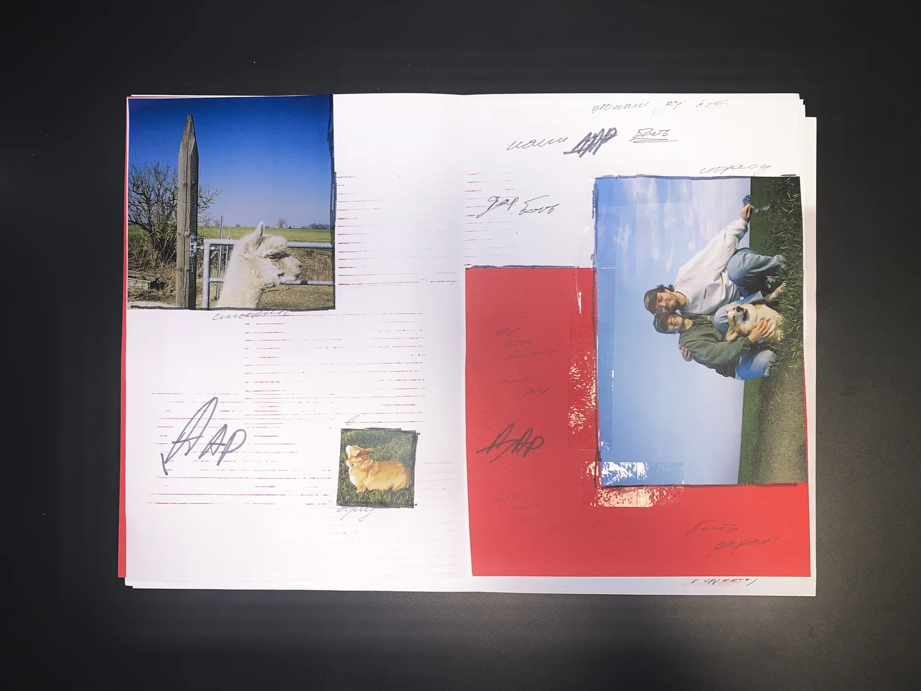 Danil — September 25 zine, photograph 4