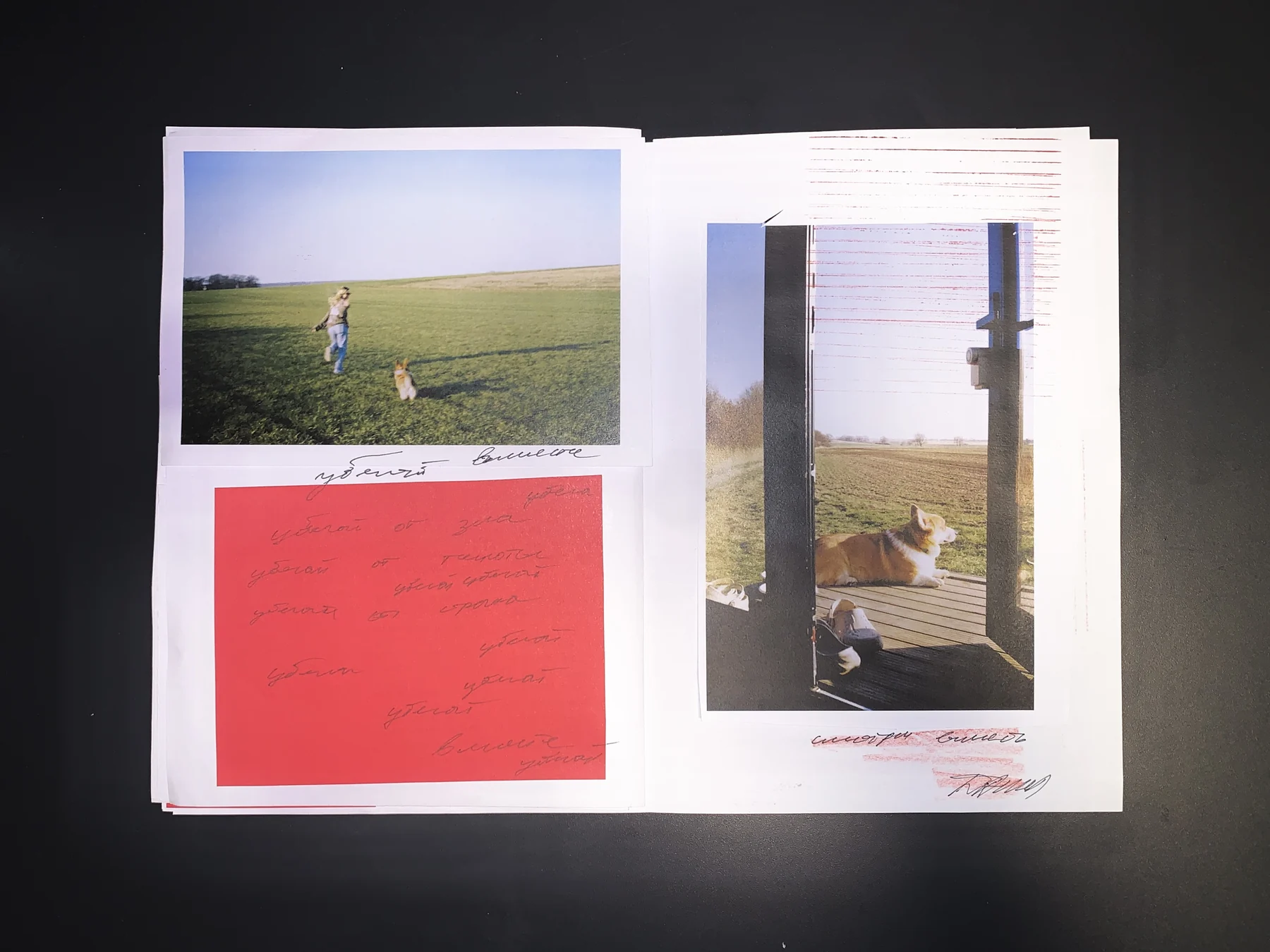 Danil — September 25 zine, photograph 6
