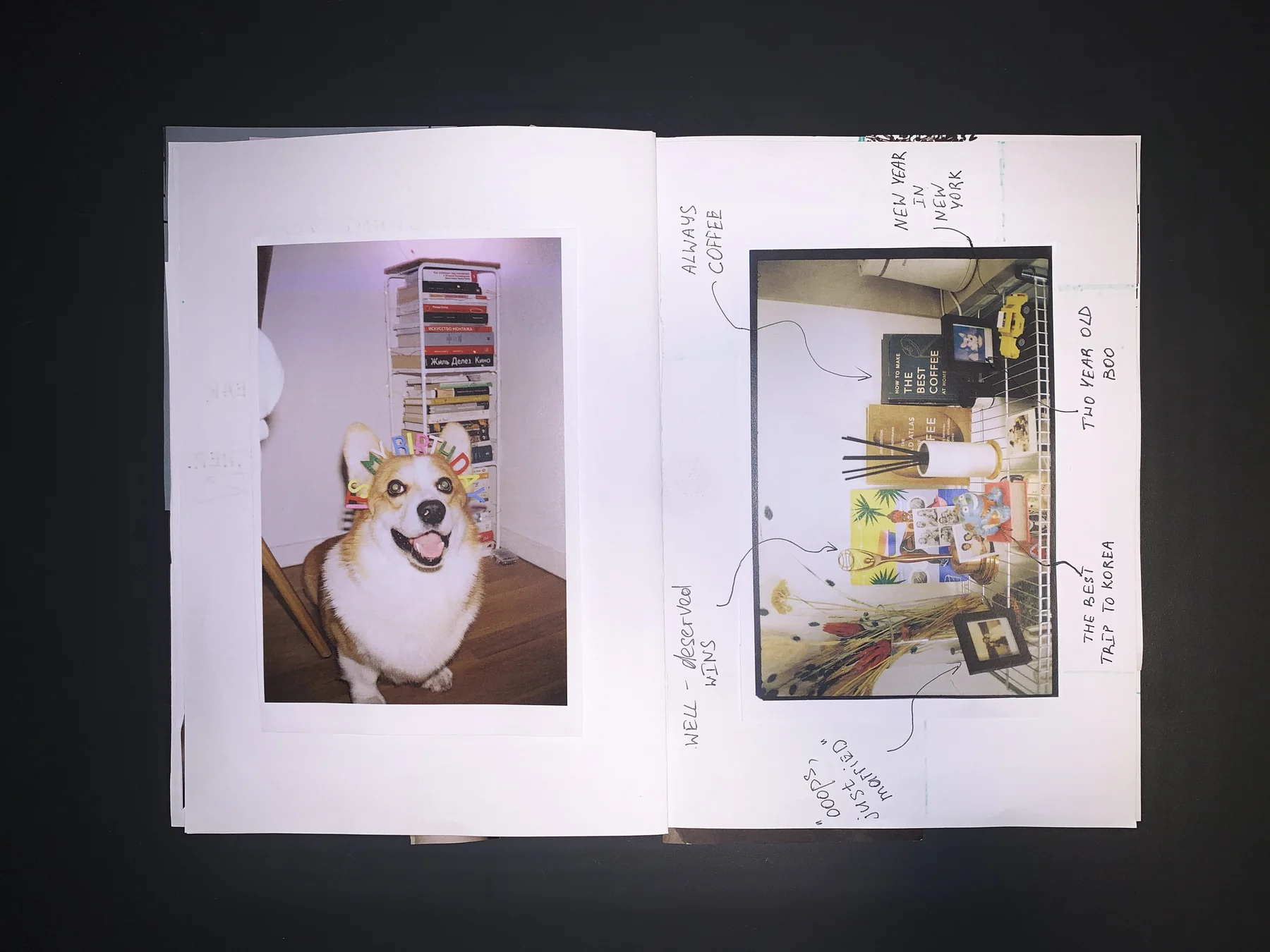 Stacey — September 25 zine, photograph 5