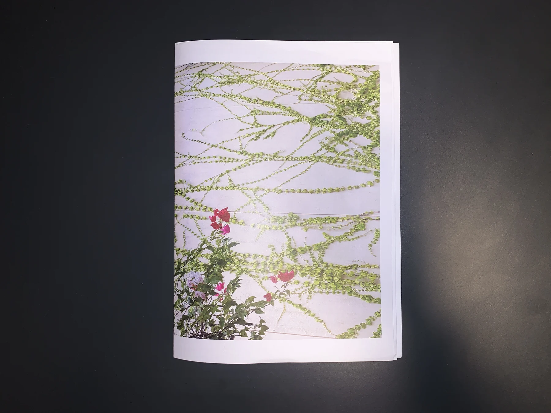 Yujin Kim — September 25 zine, photograph 1