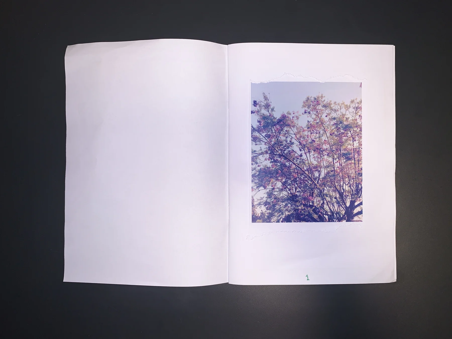 Yujin Kim — September 25 zine, photograph 2