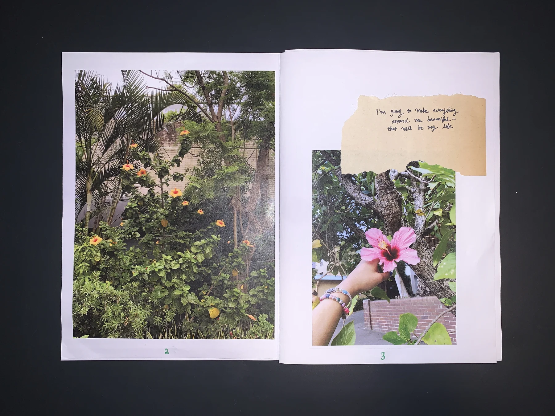 Yujin Kim — September 25 zine, photograph 3