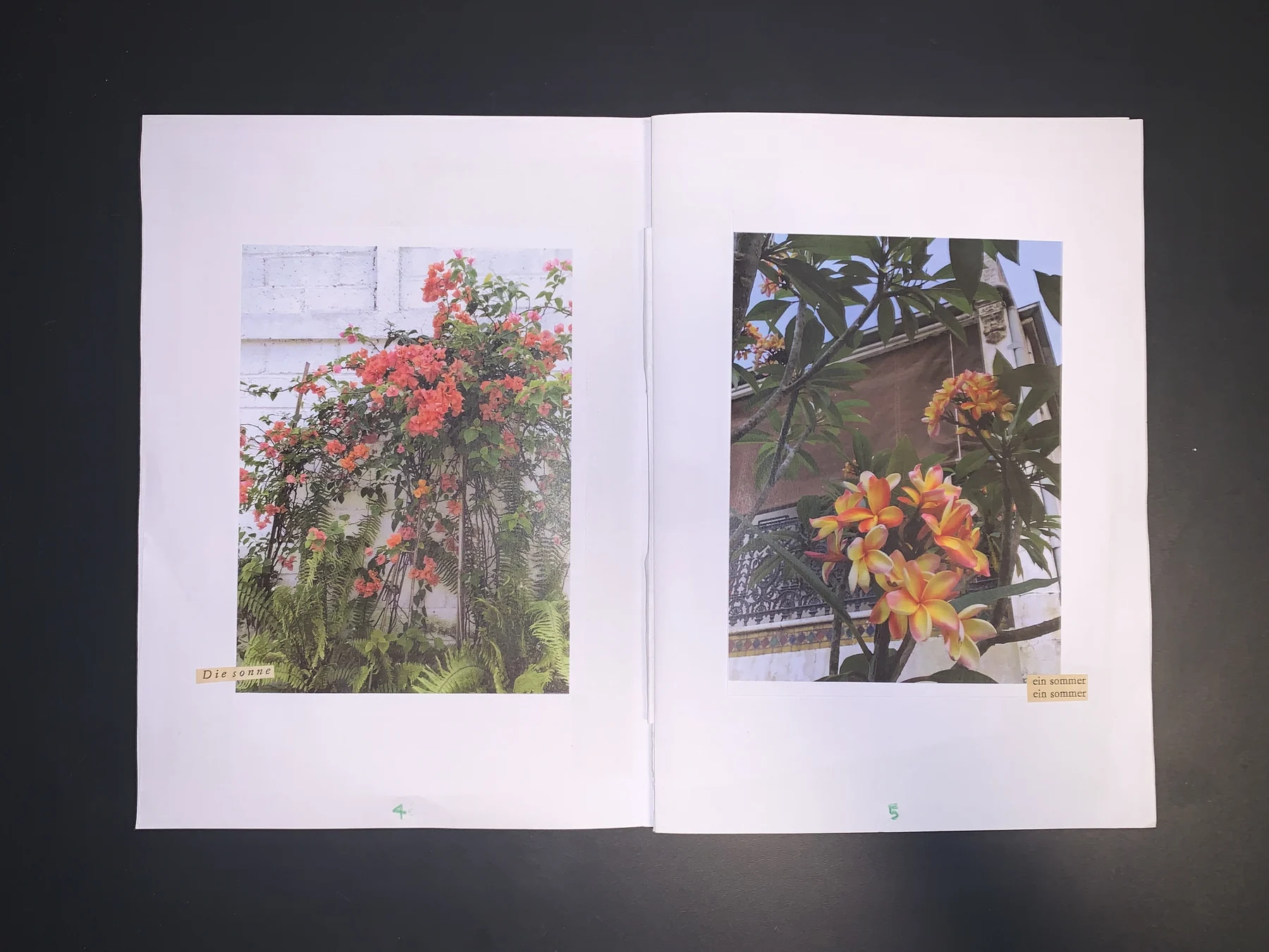 Yujin Kim — September 25 zine, photograph 4