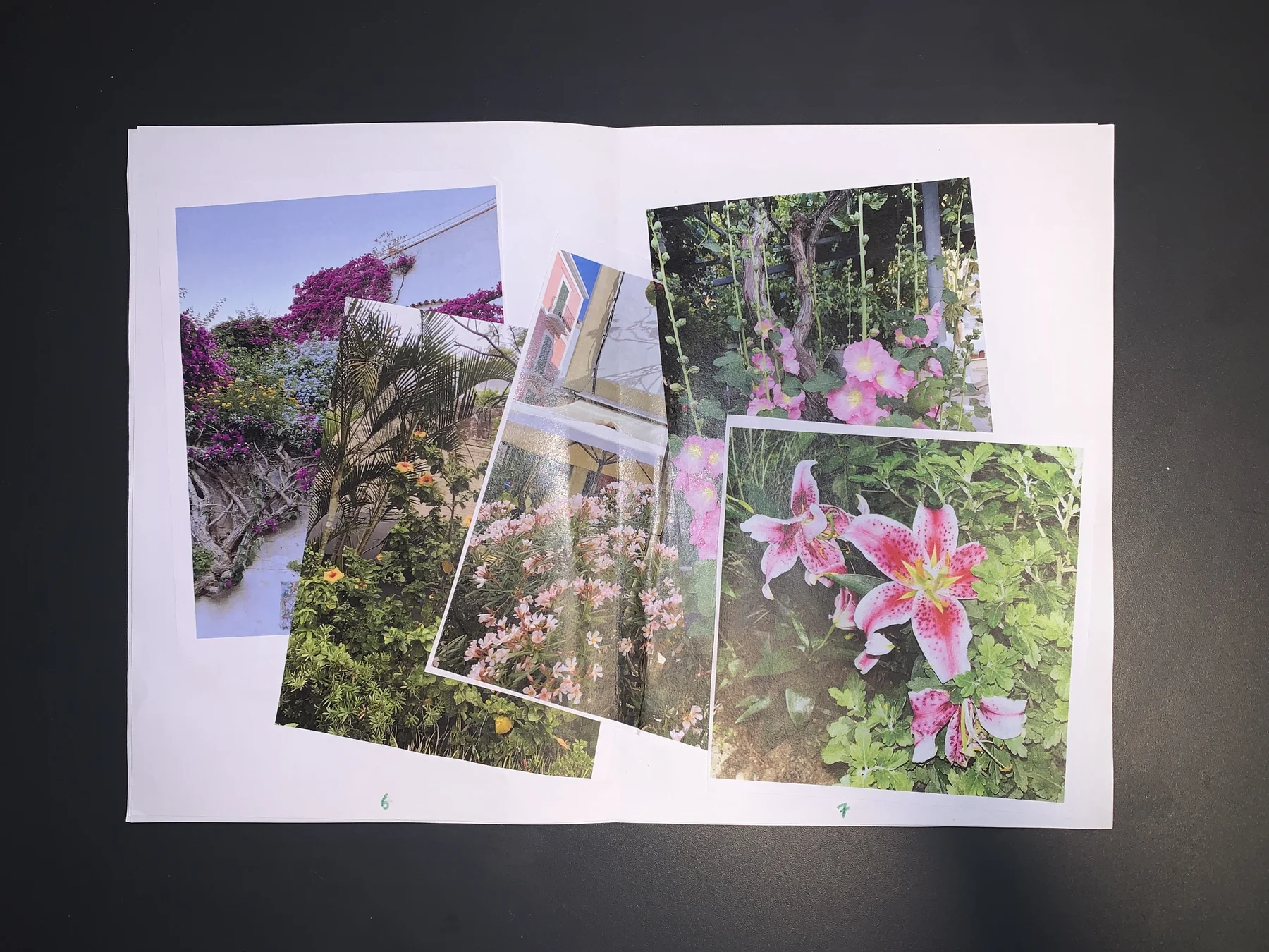 Yujin Kim — September 25 zine, photograph 5