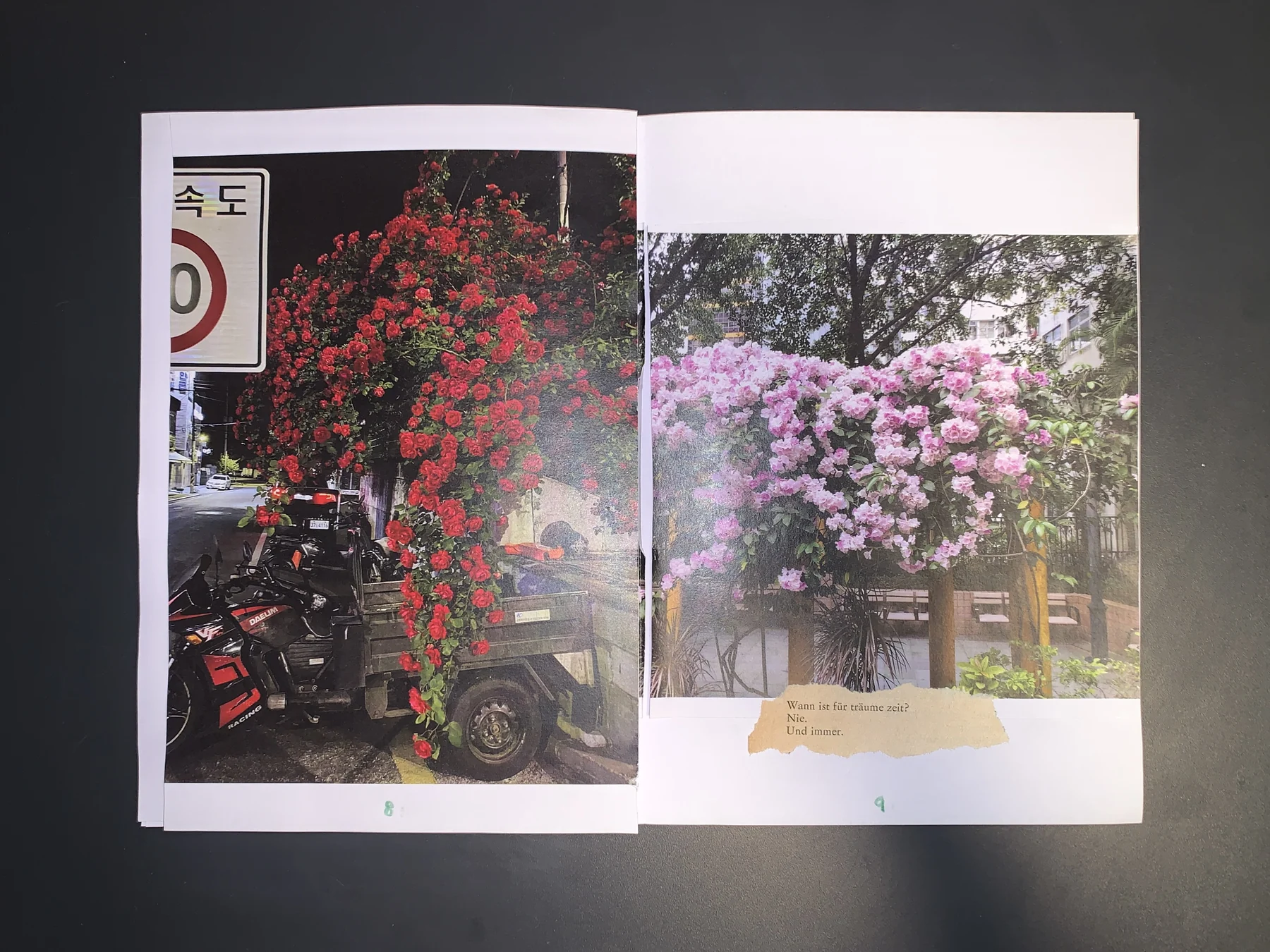 Yujin Kim — September 25 zine, photograph 6
