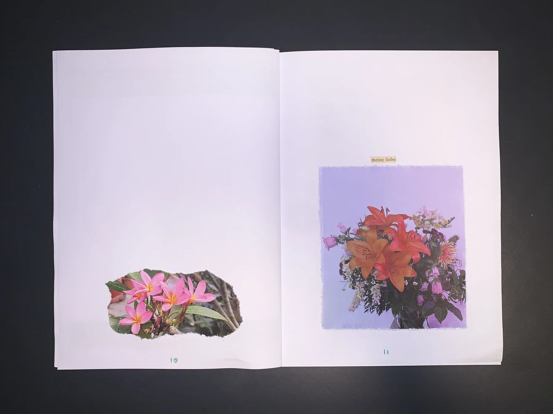 Yujin Kim — September 25 zine, photograph 7