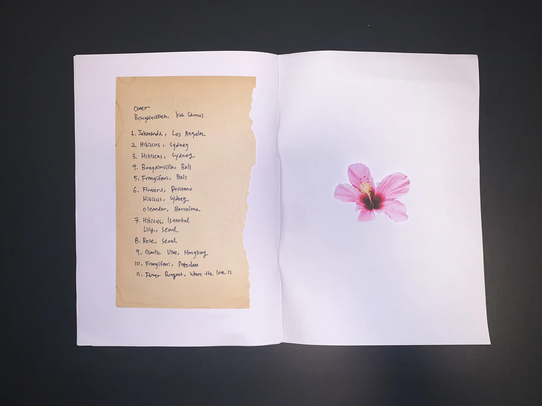 Yujin Kim — September 25 zine, photograph 8