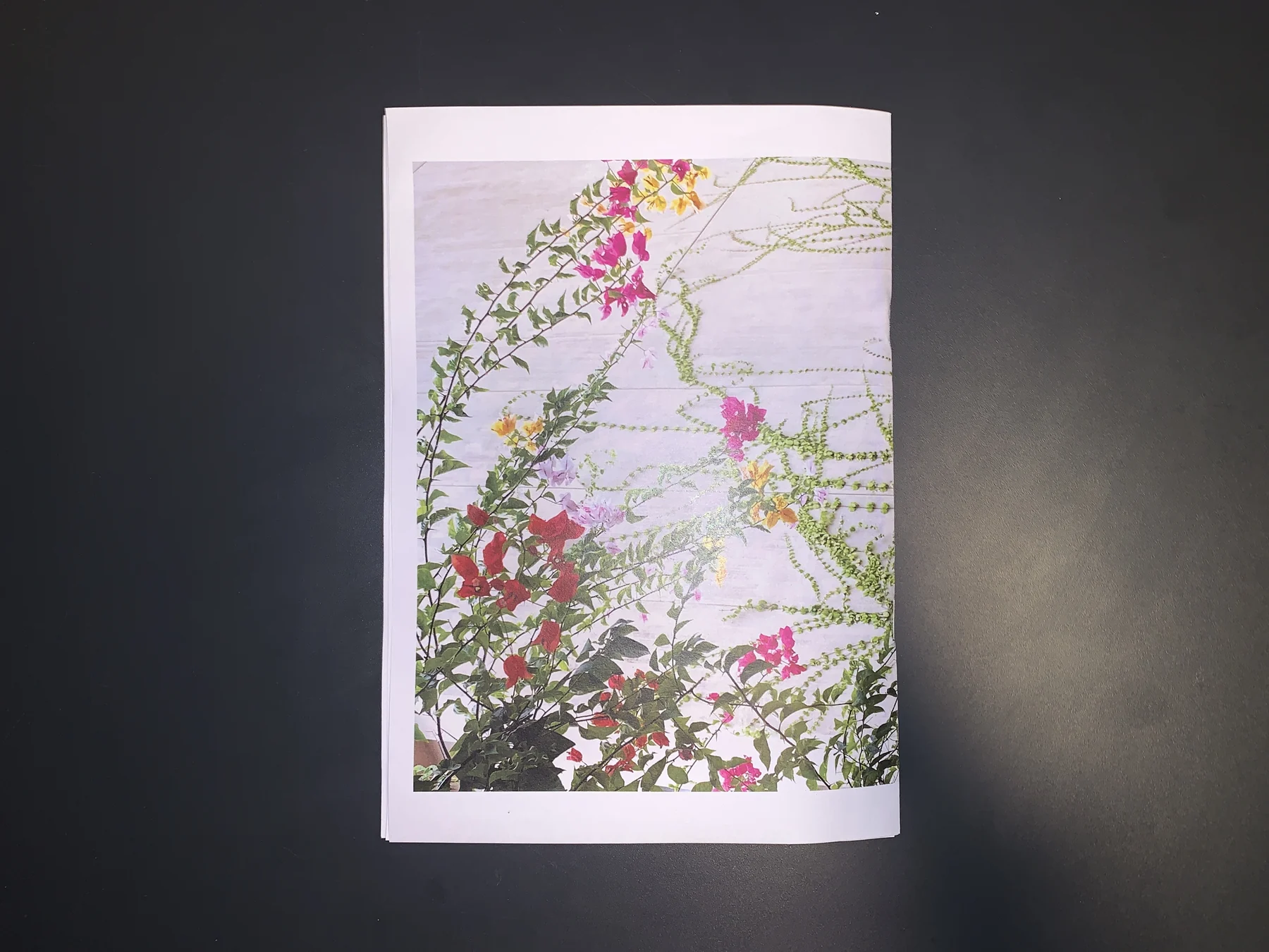 Yujin Kim — September 25 zine, photograph 9