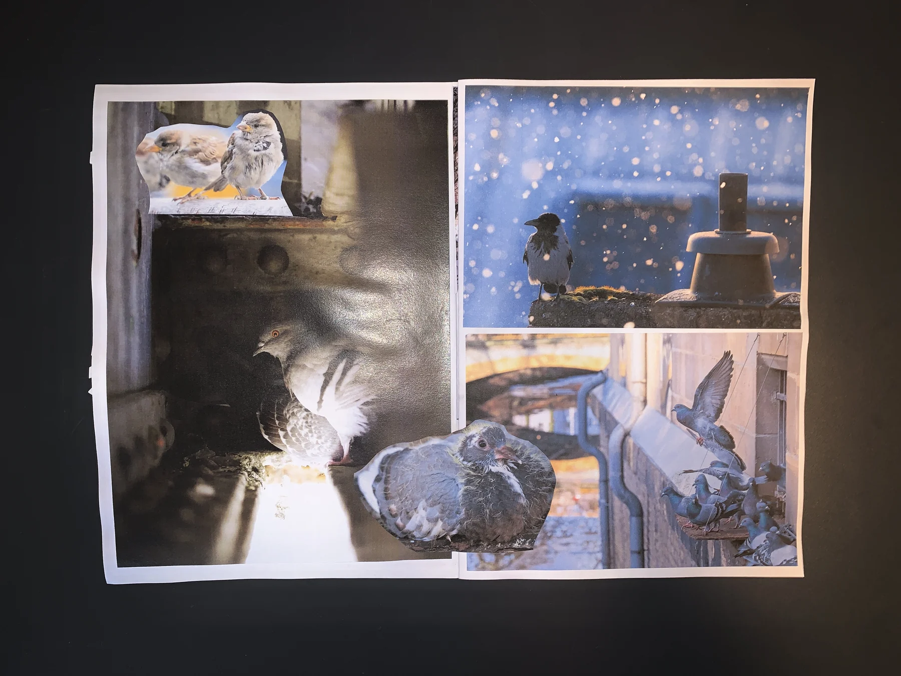 Westley — workshop 02 zine, photograph 2