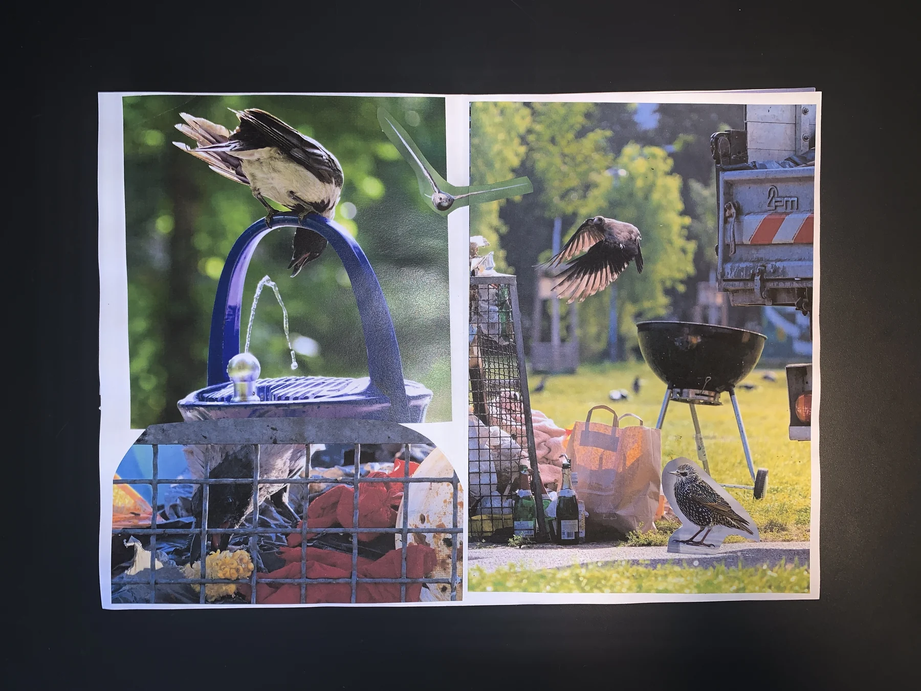 Westley — workshop 02 zine, photograph 4