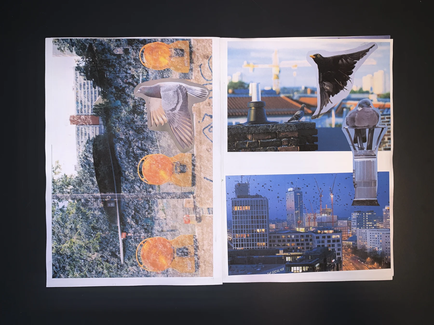 Westley — workshop 02 zine, photograph 5