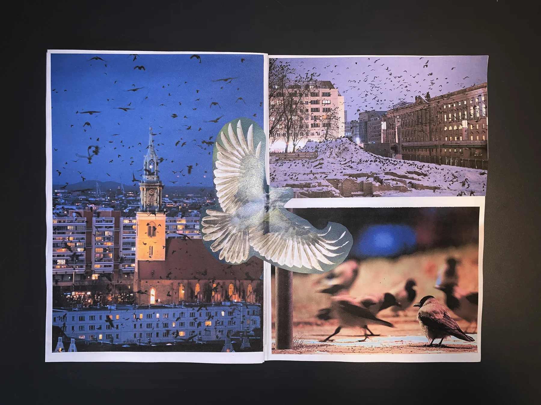 Westley — workshop 02 zine, photograph 6