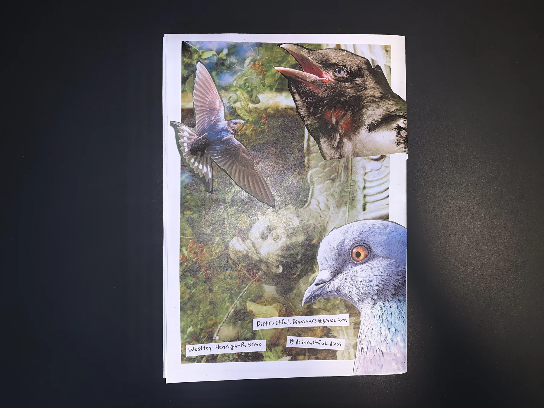 Westley — workshop 02 zine, photograph 7