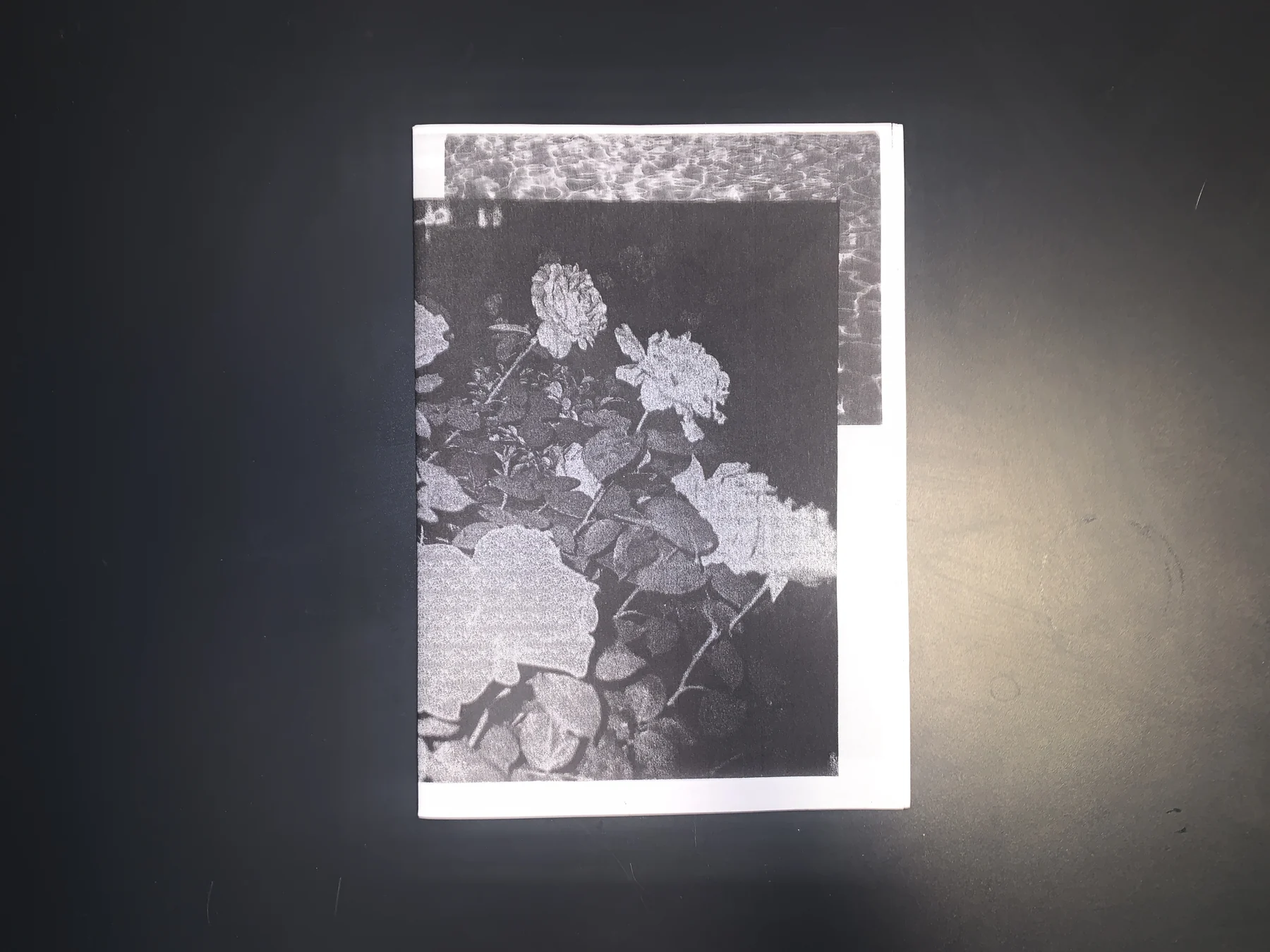 Unknown — zine photograph 1 of 9