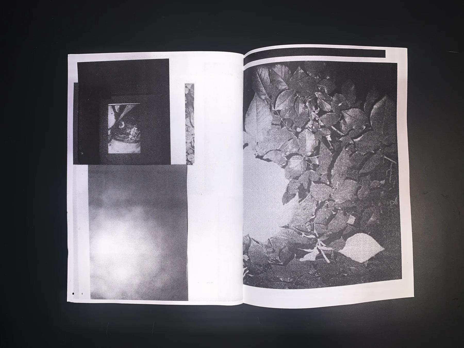 Unknown — zine photograph 8 of 9