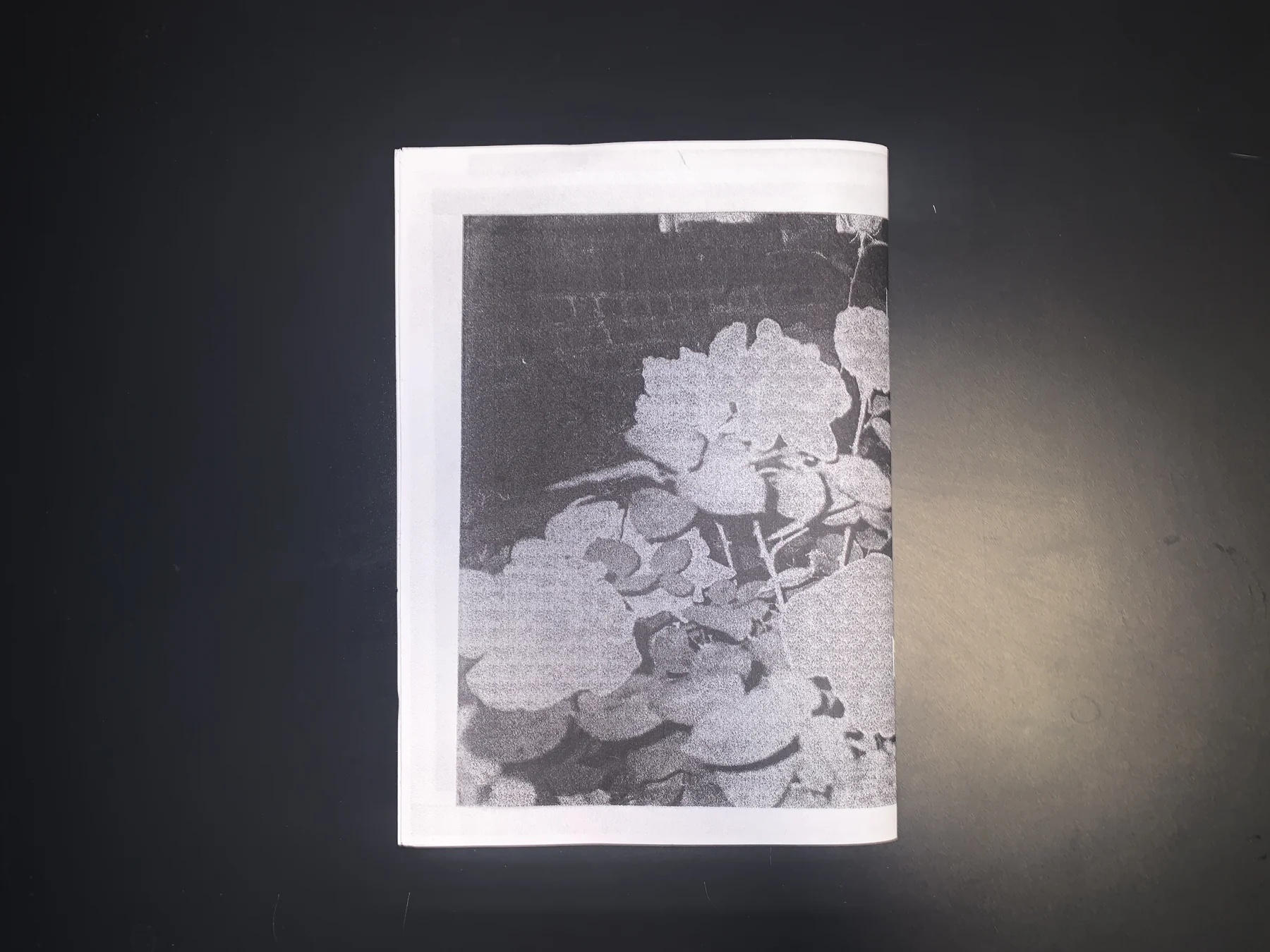Unknown — zine photograph 9 of 9